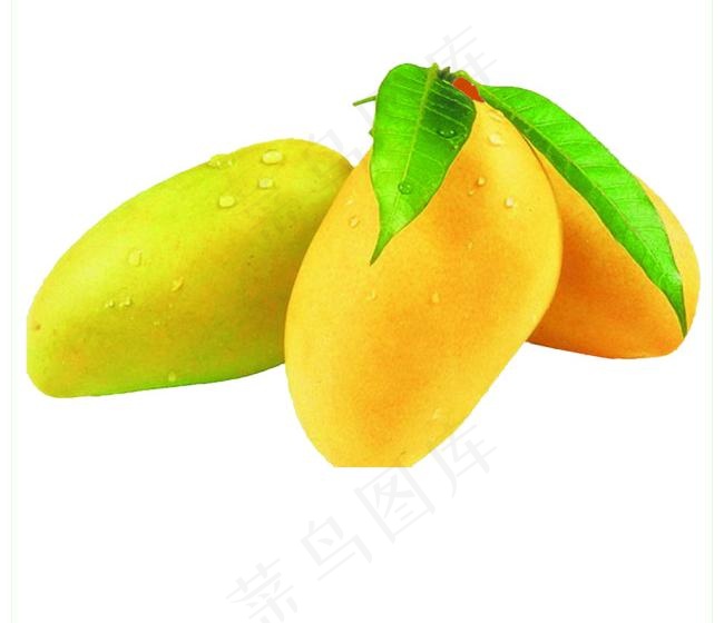 芒果素材