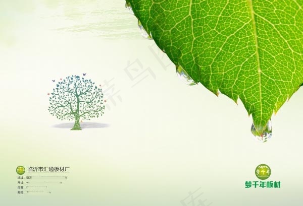 绿色树叶画册封面psd模版下载