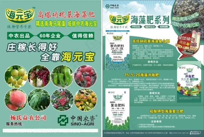 海元宝cdr矢量模版下载