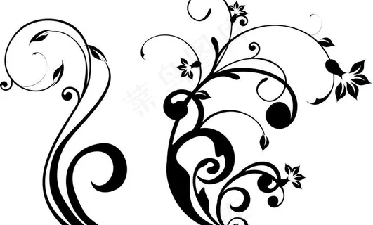 黑白 花纹图片 黑白 花纹图片