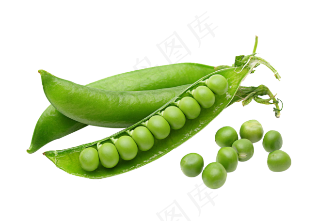 绿色蔬菜豆荚