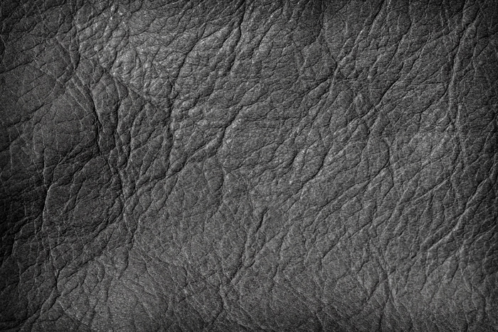 真皮纹理3