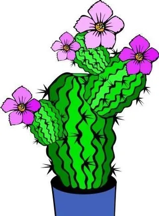 仙人掌 热带植物 矢量 EPS_0...