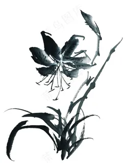 吊金钟 吊金钟