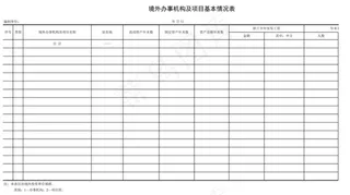 *办事机构及项目基本情况表