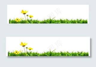 黄色小花绿草png元素