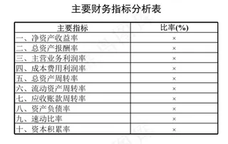 主要财务指标分析表