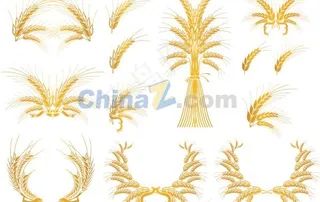 金黄小麦矢量素材下载