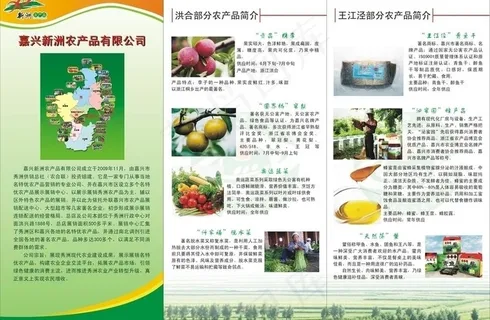 农产品三折页图片