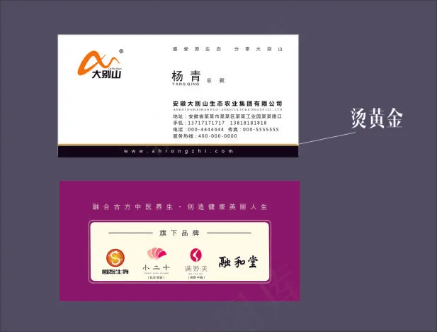 高档特殊纸名片cdr矢量模版下载