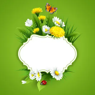 绿色花卉元素边框矢量集合