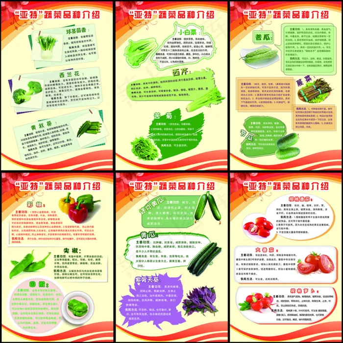 科协科普宣传(2362X3543(DPI:100))psd模版下载