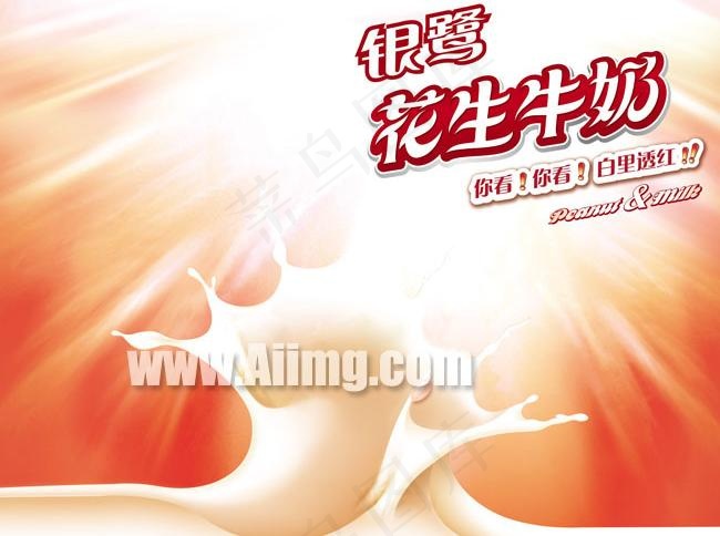 银鹭花生牛奶设计图片效果(7087X5906(DPI:200))psd模版下载