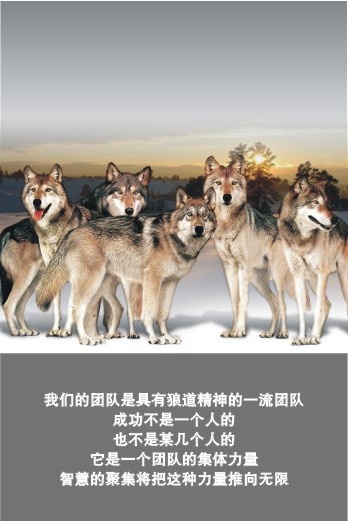 企业文化1cdr矢量模版下载