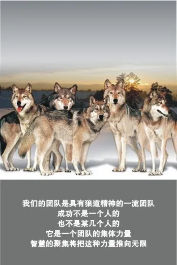 企业文化1cdr矢量模版下载