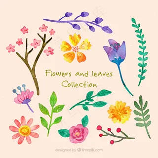 秋天的树叶图案