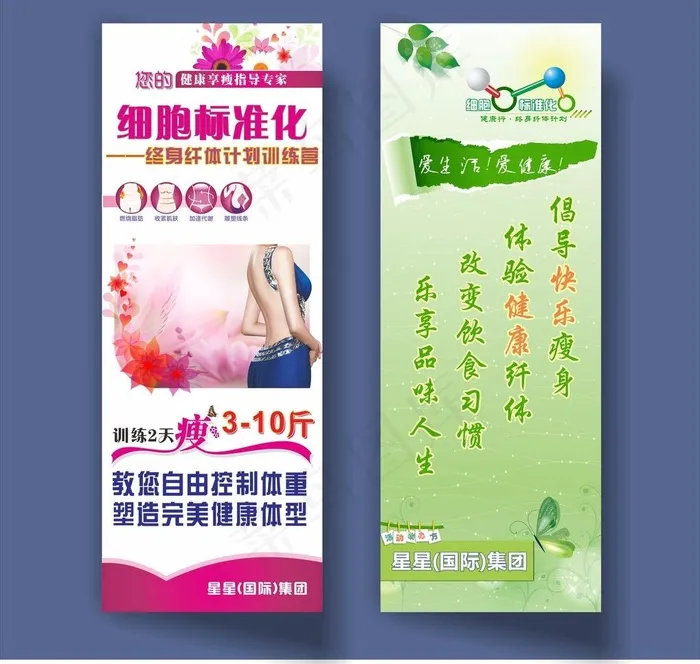 细胞标准化 宣传展架图片cdr矢量模版下载