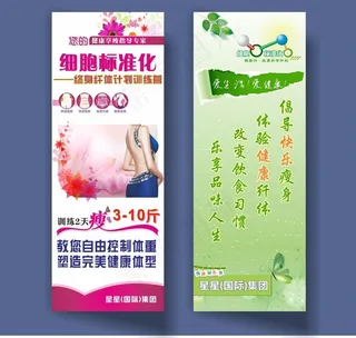 细胞标准化 宣传展架图片