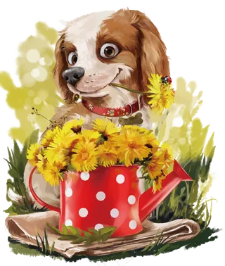 2018可爱小狗PNG透明背景免扣...