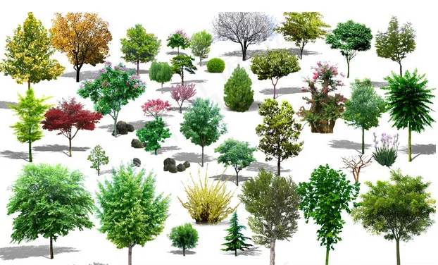 绿色树木效果图设计psd模版下载