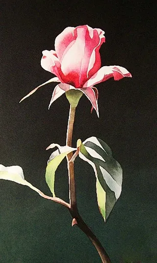 位图 写意花卉 植物 花朵 免费素...