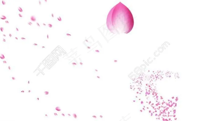 飘落的花瓣图片psd模版下载