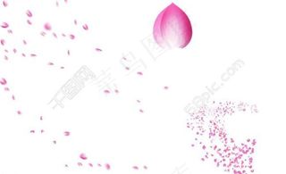 飘落的花瓣图片
