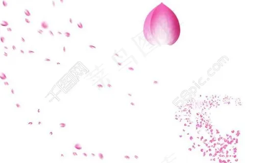 飘落的花瓣图片 飘落的花瓣图片