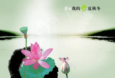 思念图片 思念图片