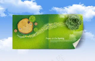 俯视草地上的木桩