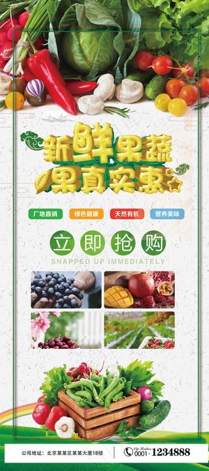 农家有机蔬菜X展架易拉宝设计