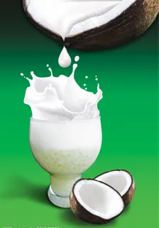 椰奶 饮品图片 椰奶 饮品图片
