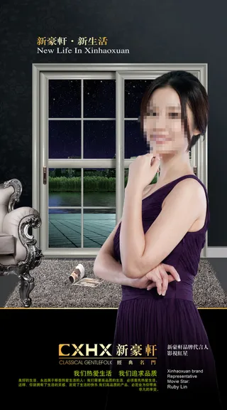 新豪轩门业海报