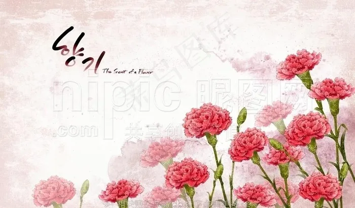 母亲节鲜花图片(4961X3189(DPI:300))psd模版下载