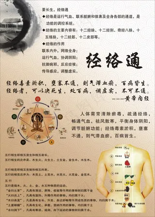 经络通海报