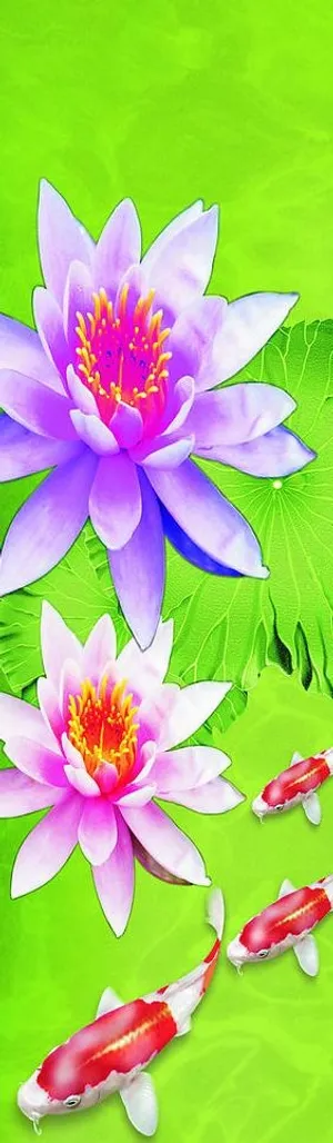 荷花池图片 荷花池图片