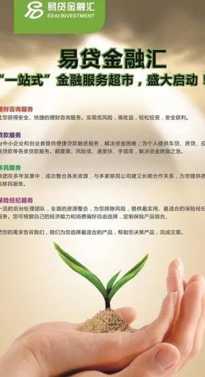 易贷金融汇开业展架图片