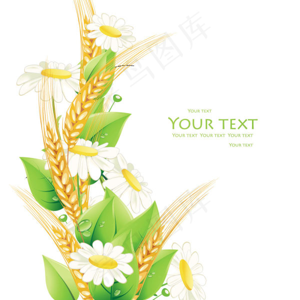 美丽鲜花背景矢量素材