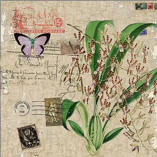 怀旧系列花卉装饰画图片 怀旧系列花卉装饰画图片