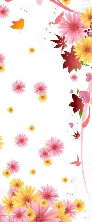 雏菊花朵移门图片 雏菊花朵移门图片