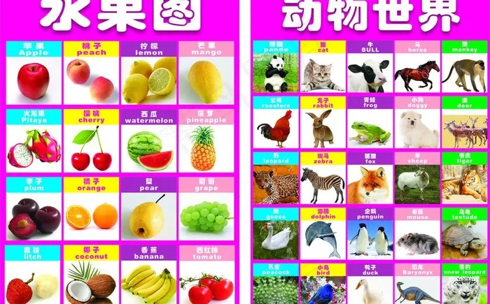 动物世界 水果图图片(210X297)cdr矢量模版下载