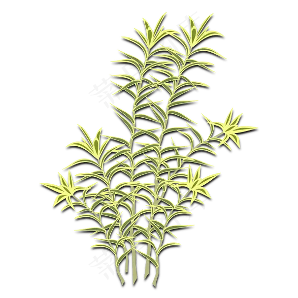 plant-01
