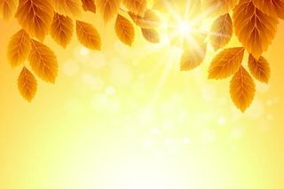 秋天的金黄色背景矢量02