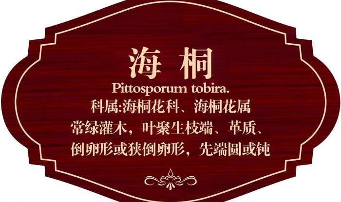 苗木铭牌图片psd模版下载