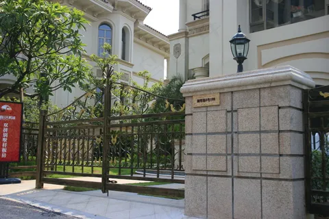 万科 佛山 天鹅湖 地产 别墅 欧...