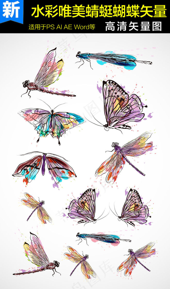 水彩唯美蜻蜓蝴蝶矢量素材