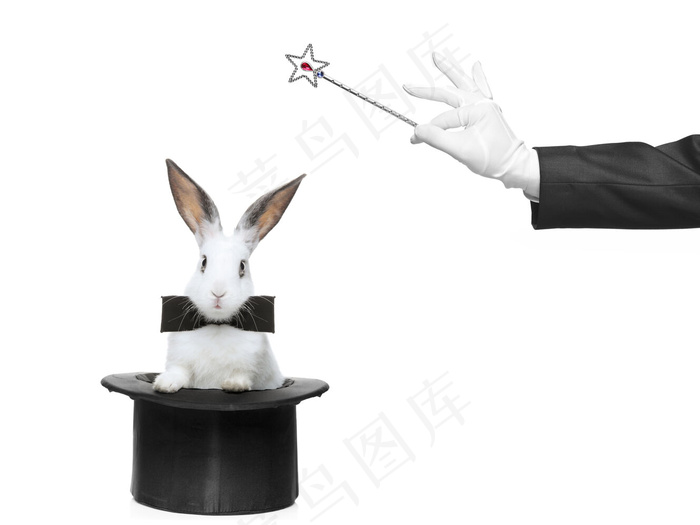 魔术帽内的兔子