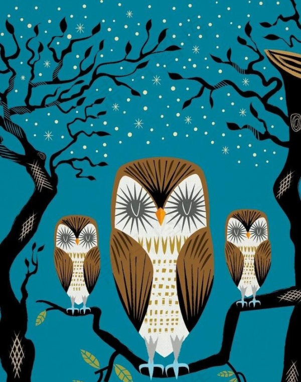 位图 插画 动物 鸟 猫头鹰 免费...