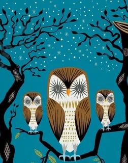 位图 插画 动物 鸟 猫头鹰 免费...