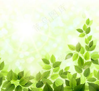绿色装饰背景图矢量素材